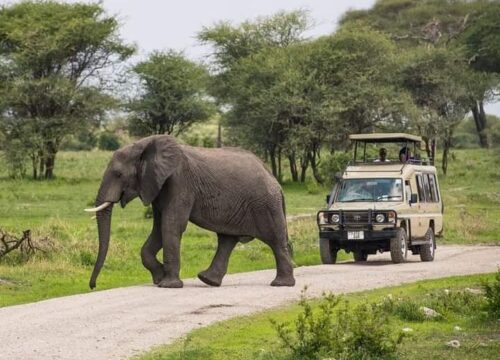 3 DAYS 2 NIGHTS SAFARI