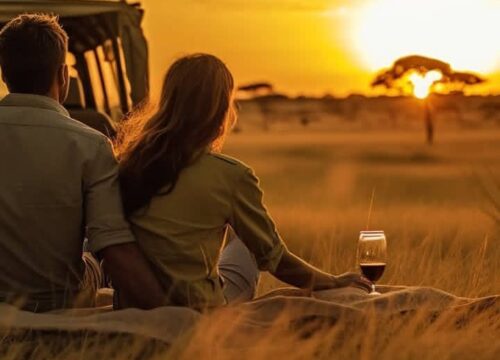 Unforgettable 2 Days 1 Night Private Safari  Tarangire and Ngorongoro Crater